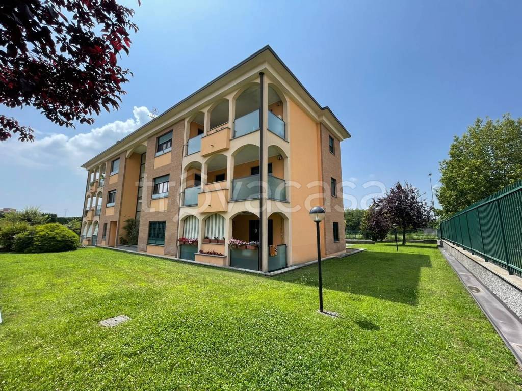 immagine annuncio 1 di 15