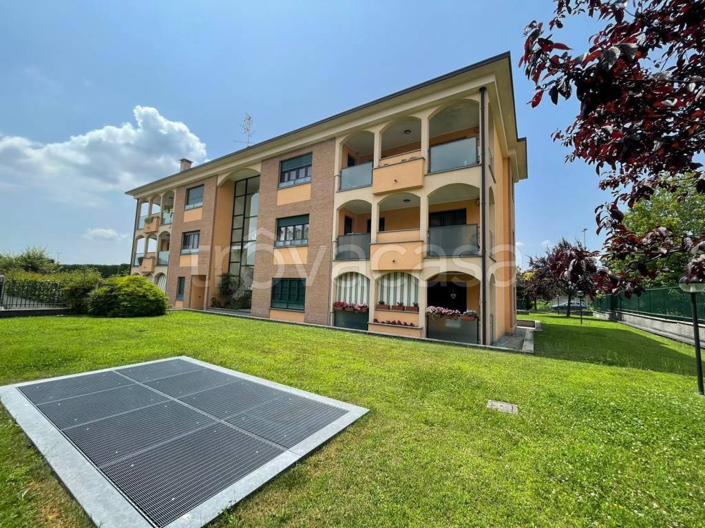 immagine annuncio 3 di 15