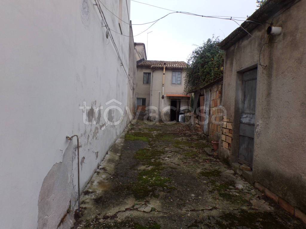 immagine annuncio 12 di 14