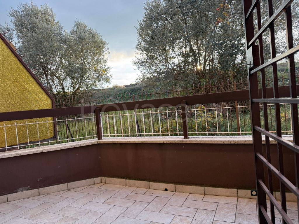 immagine annuncio 11 di 14