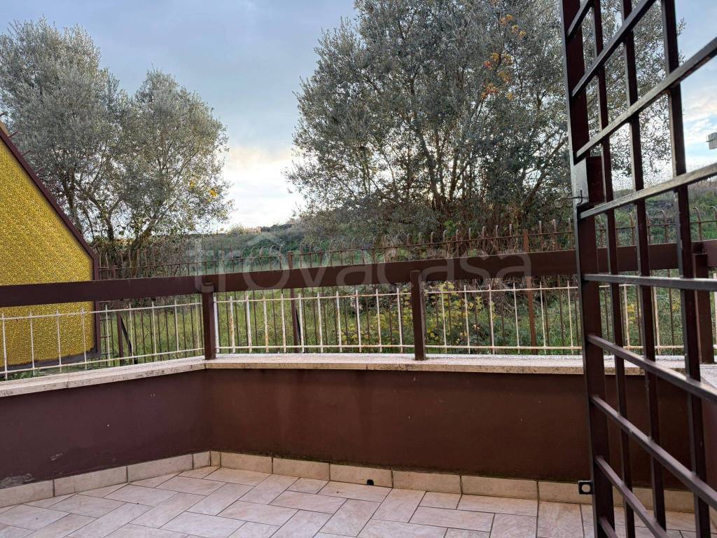 immagine annuncio 12 di 14