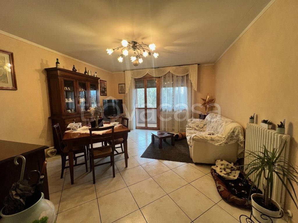 immagine annuncio 1 di 13