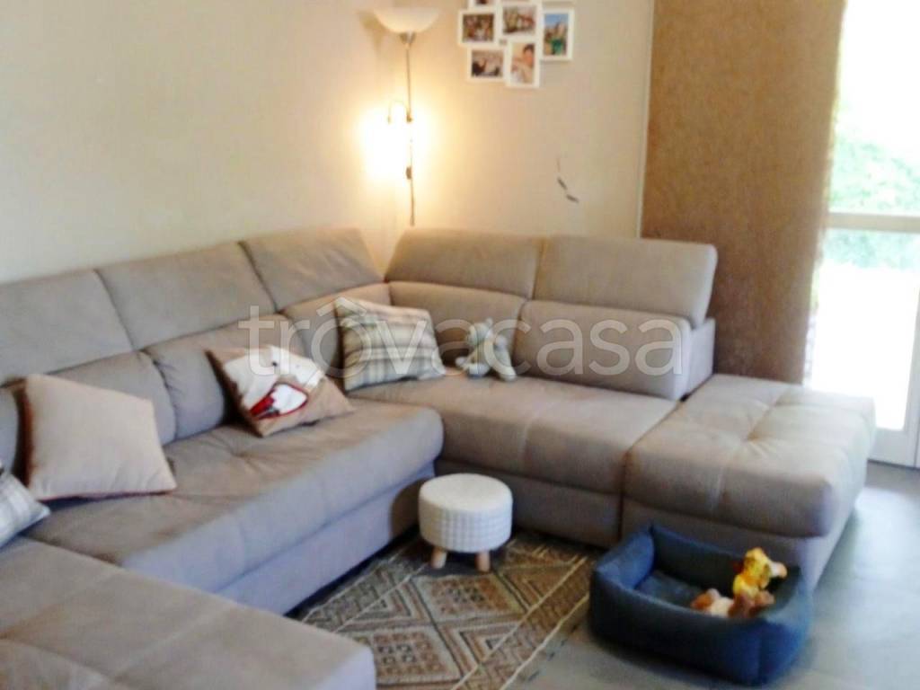 immagine annuncio 2 di 11