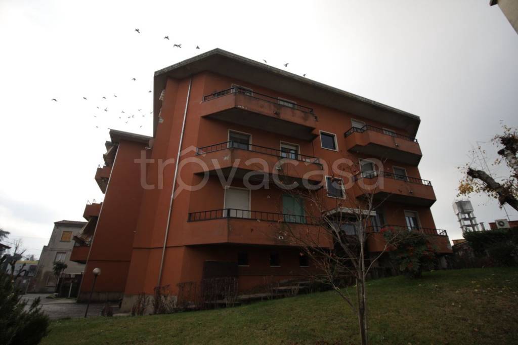 immagine annuncio 10 di 12