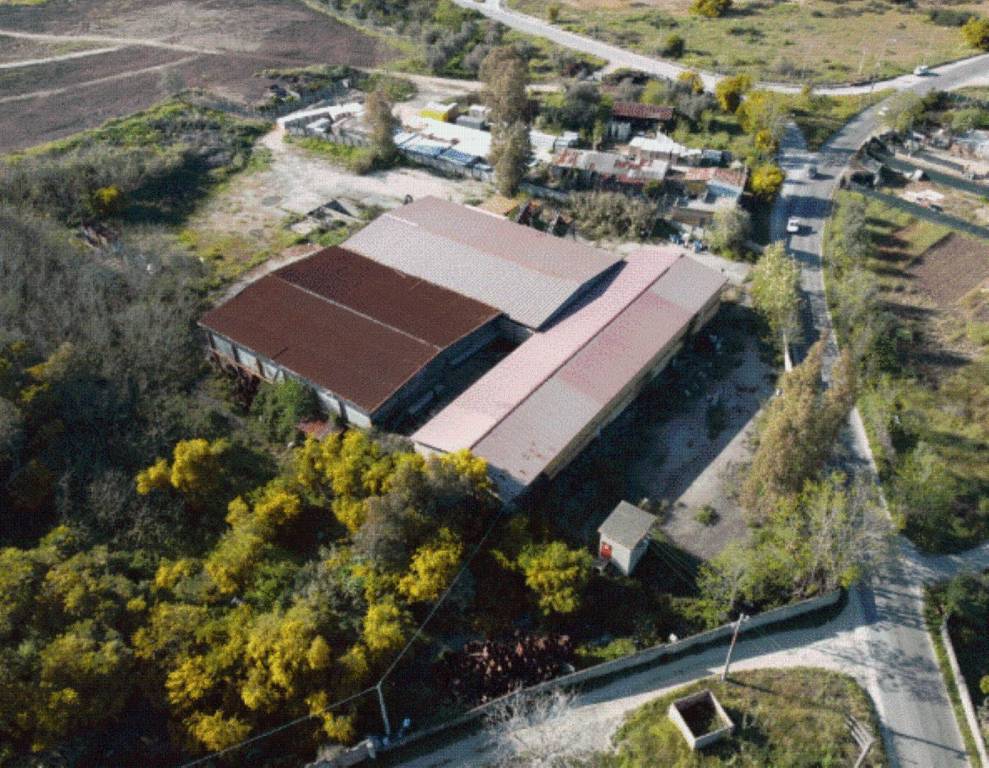 immagine annuncio 3 di 11