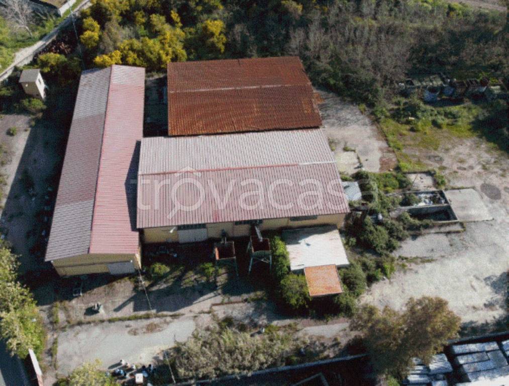 immagine annuncio 8 di 11