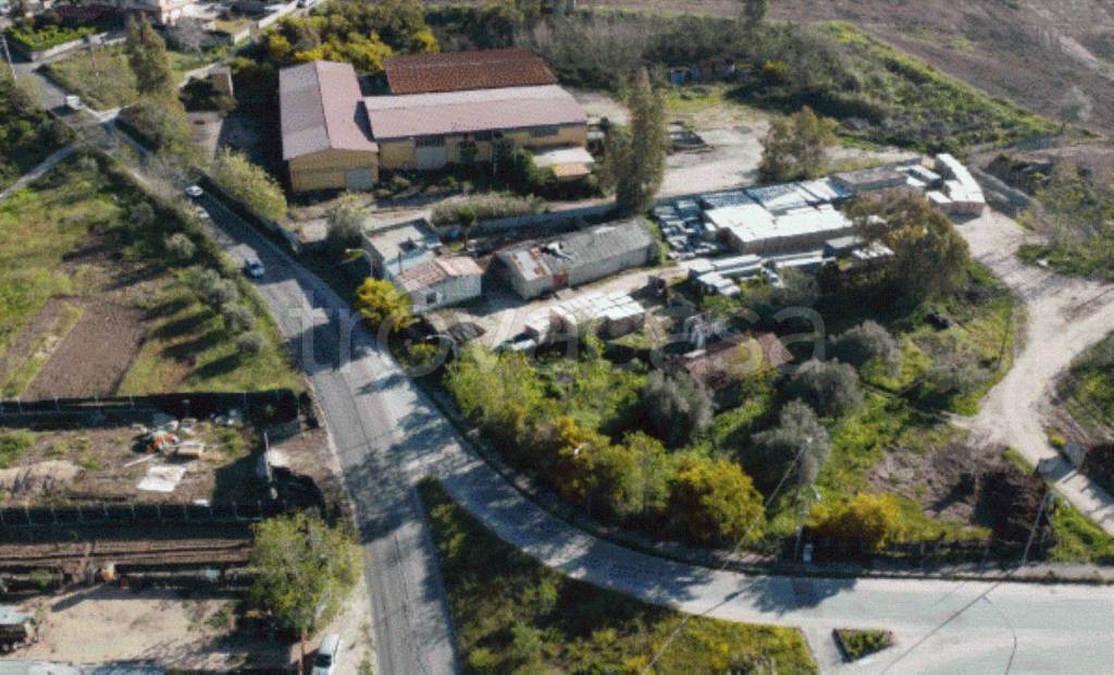 immagine annuncio 10 di 11