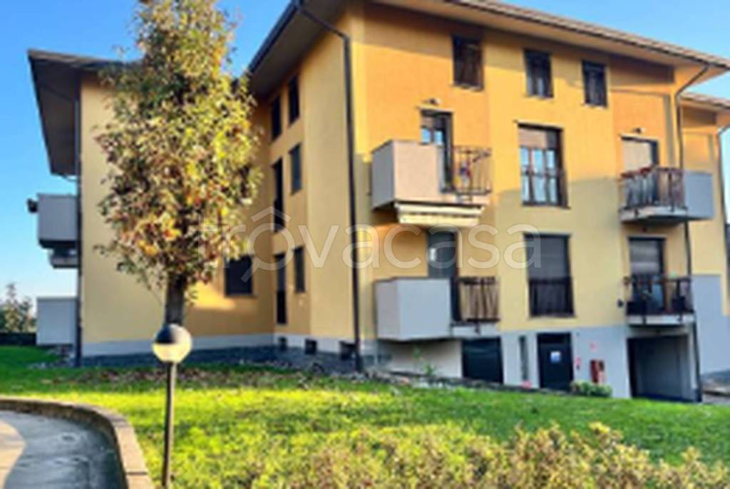 immagine annuncio 9 di 11