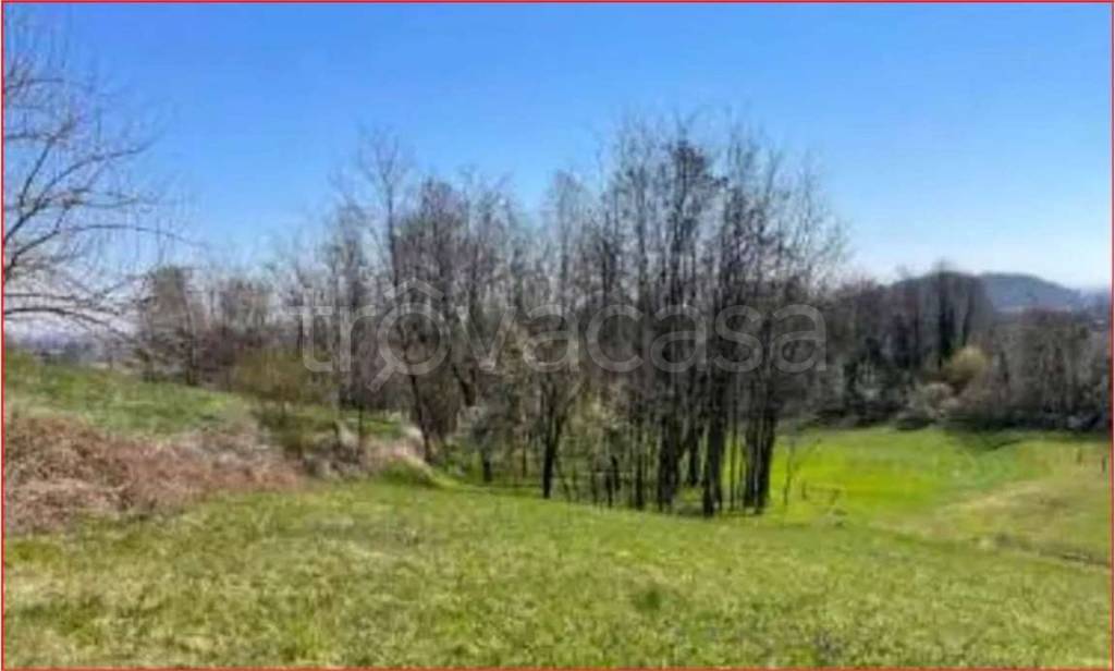 immagine annuncio 8 di 12