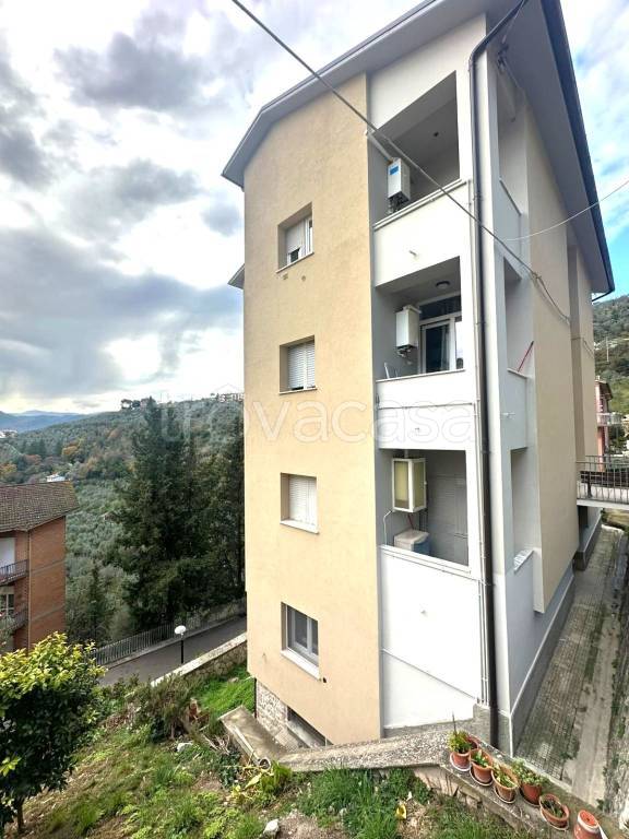 immagine annuncio 2 di 8