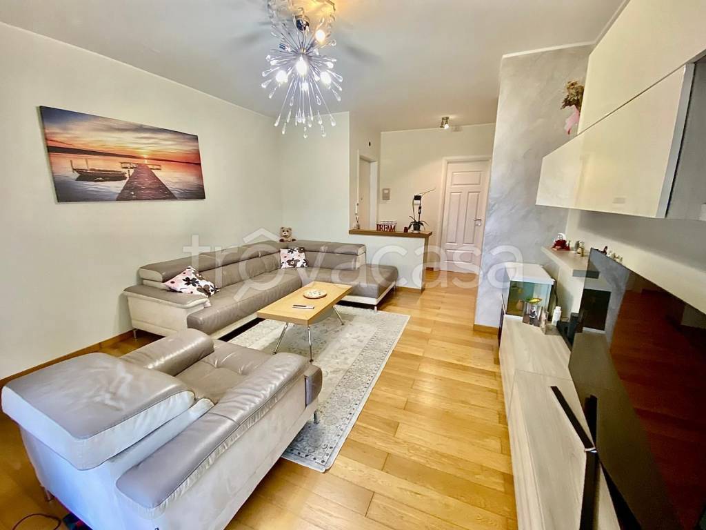 immagine annuncio 2 di 13