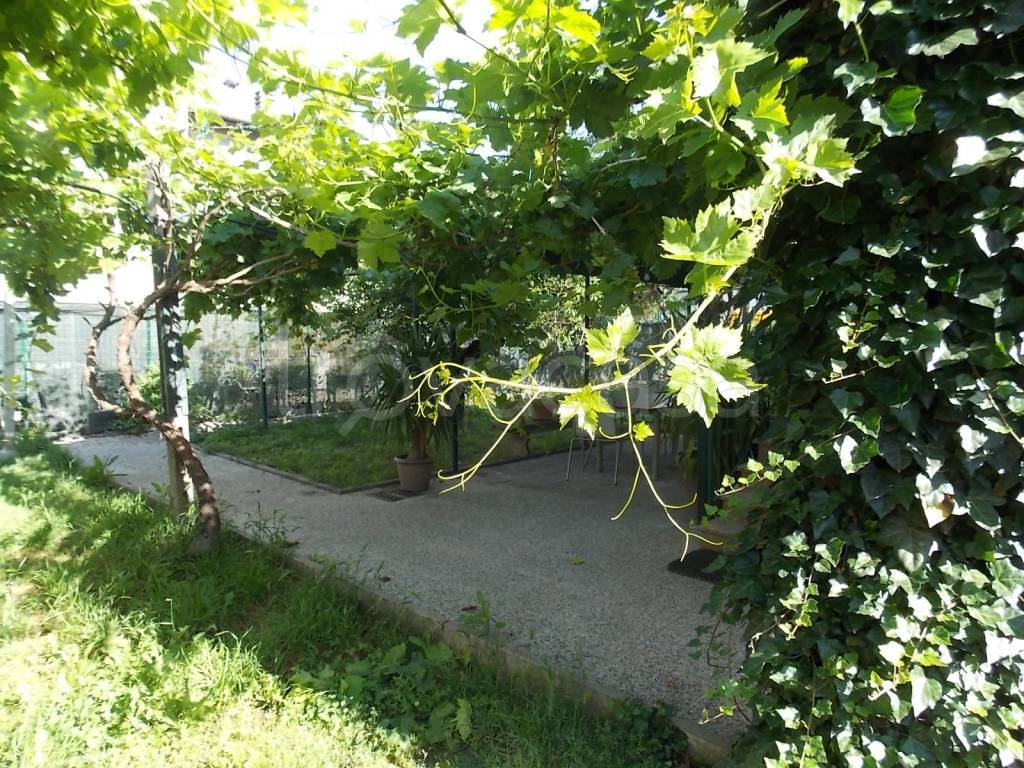 immagine annuncio 1 di 14