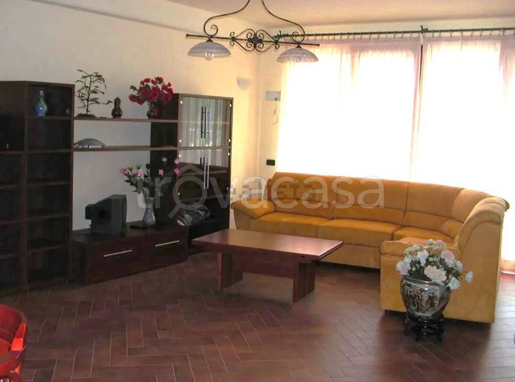 immagine annuncio 2 di 12