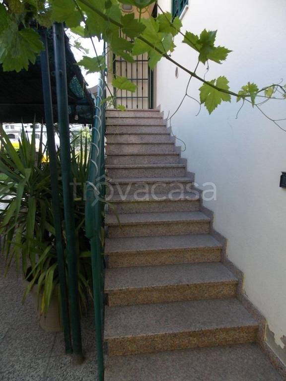 immagine annuncio 2 di 14