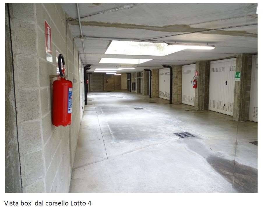 immagine annuncio 12 di 15