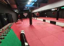 immagine annuncio 7 di 12