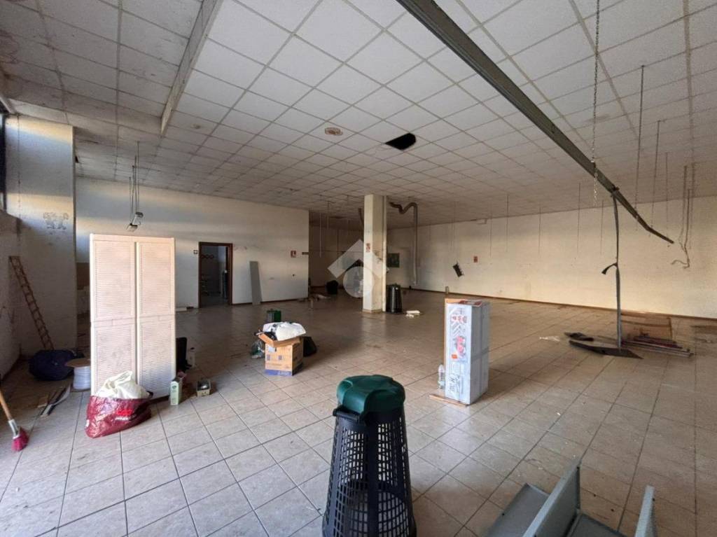 immagine annuncio 3 di 11