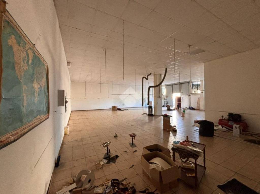 immagine annuncio 5 di 11