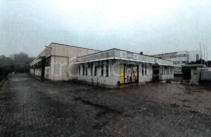 immagine annuncio 1 di 11