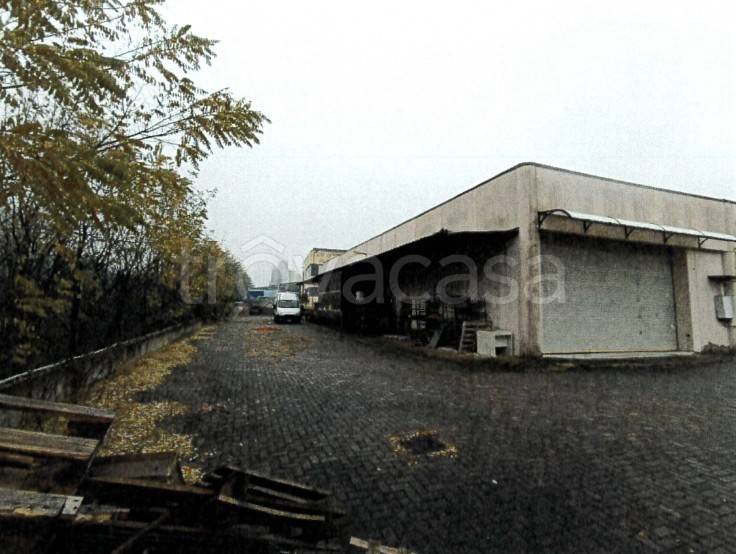 immagine annuncio 2 di 11