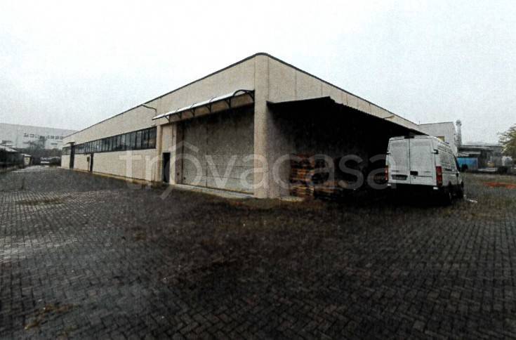 immagine annuncio 3 di 11