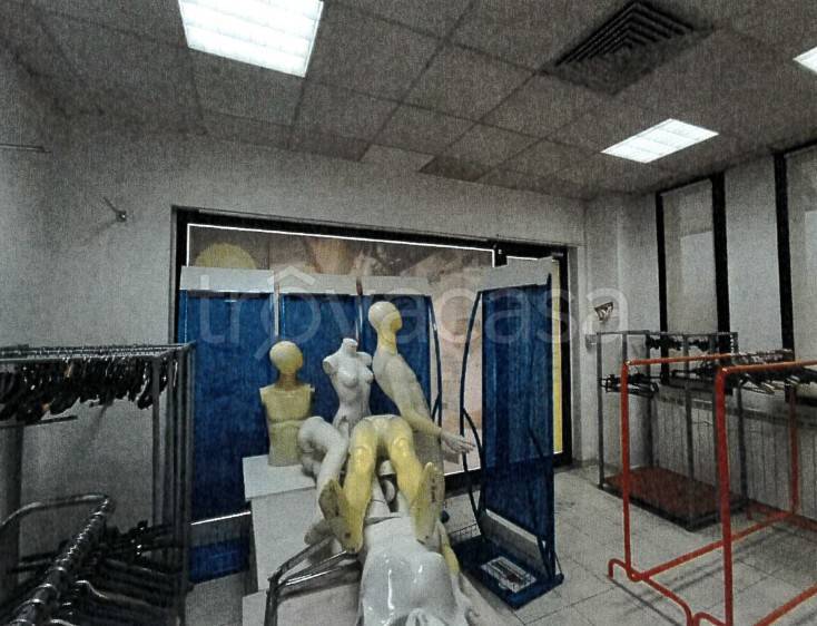 immagine annuncio 4 di 11