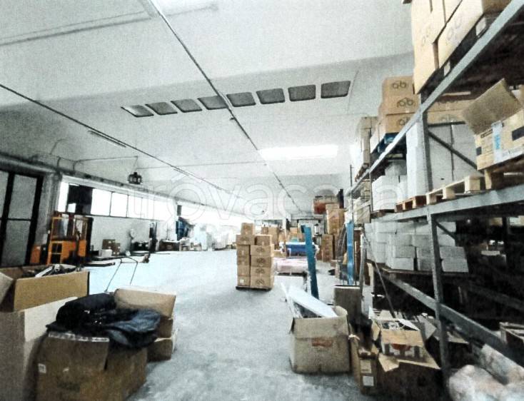 immagine annuncio 6 di 11