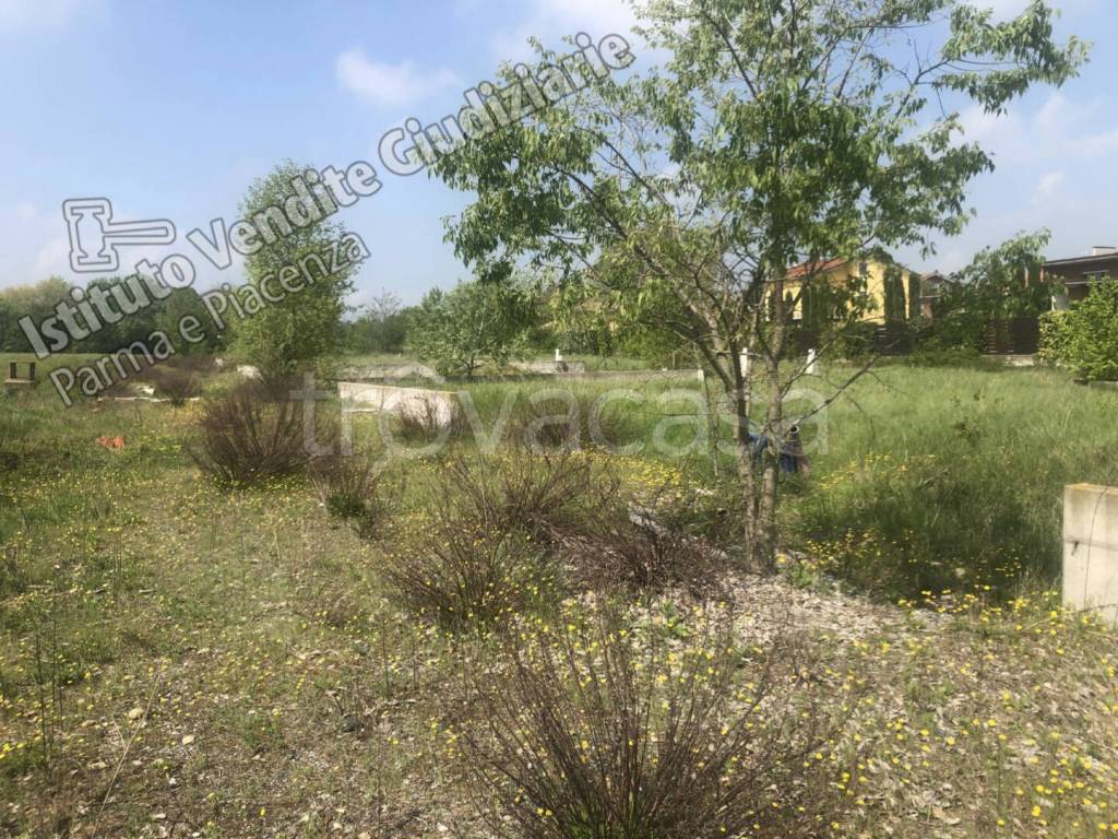 immagine annuncio 3 di 7