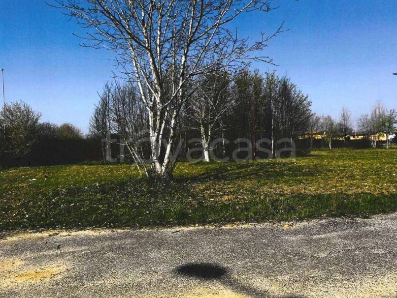 immagine annuncio 1 di 8