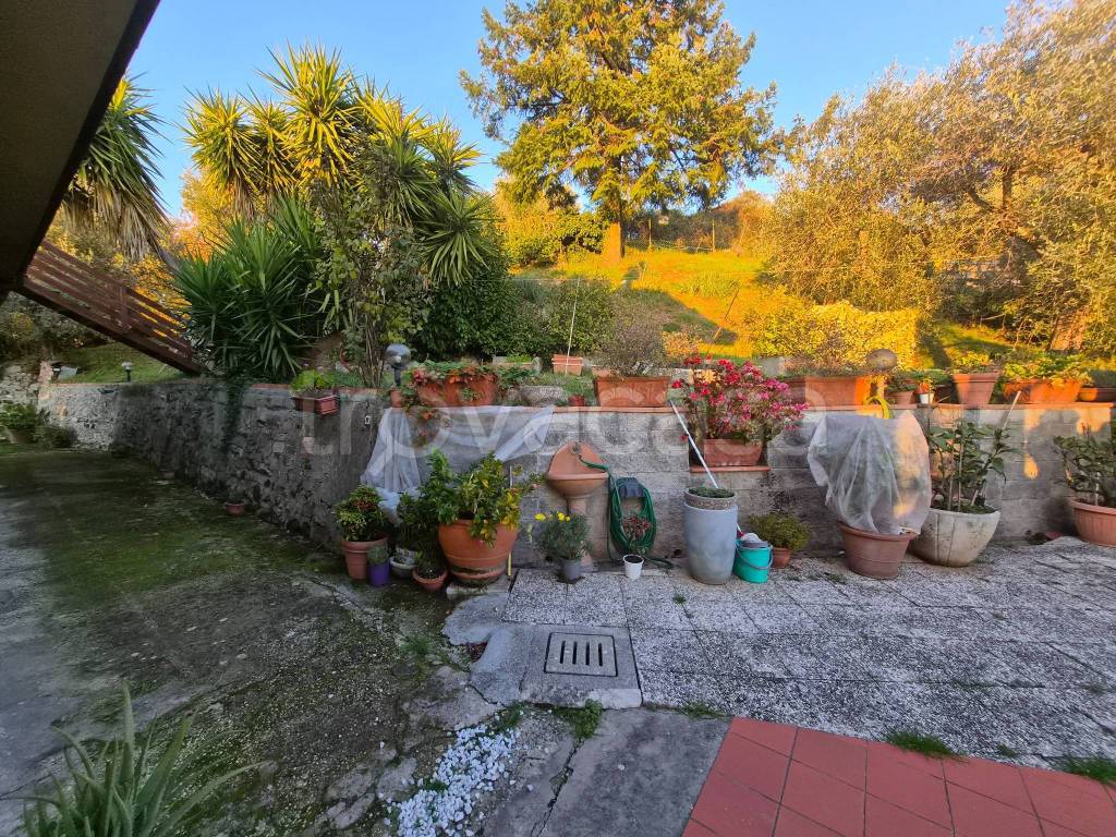 immagine annuncio 4 di 11