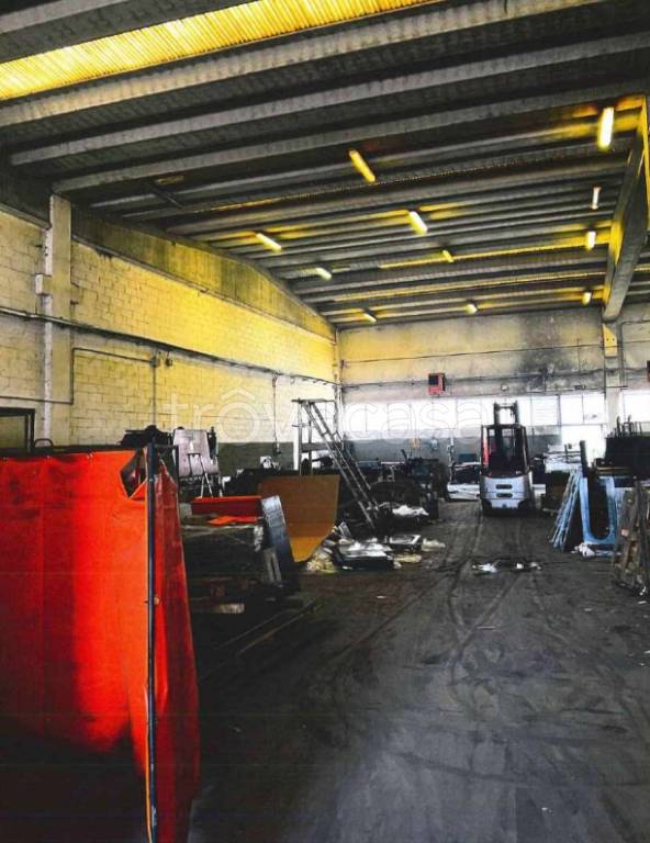 immagine annuncio 2 di 12