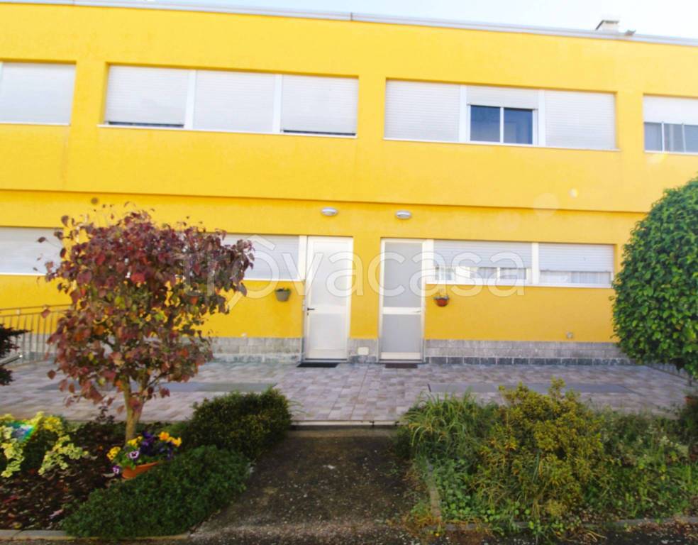 immagine annuncio 12 di 13