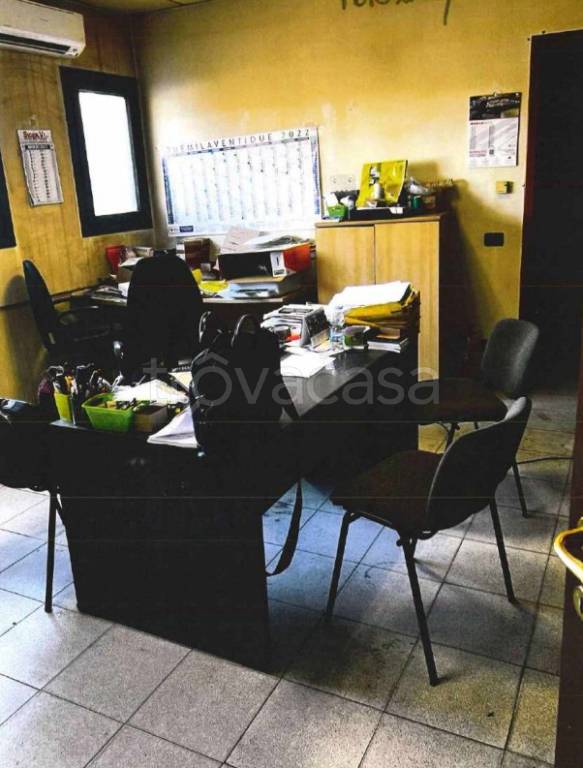 immagine annuncio 3 di 12