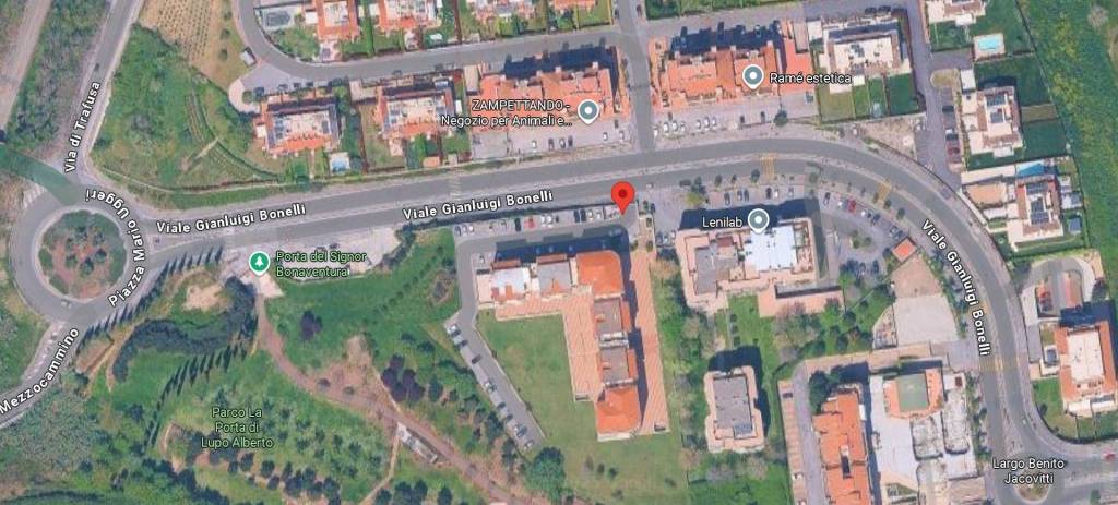 immagine annuncio 14 di 15