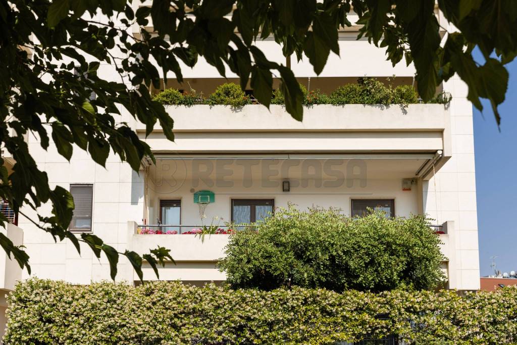 immagine annuncio 11 di 13