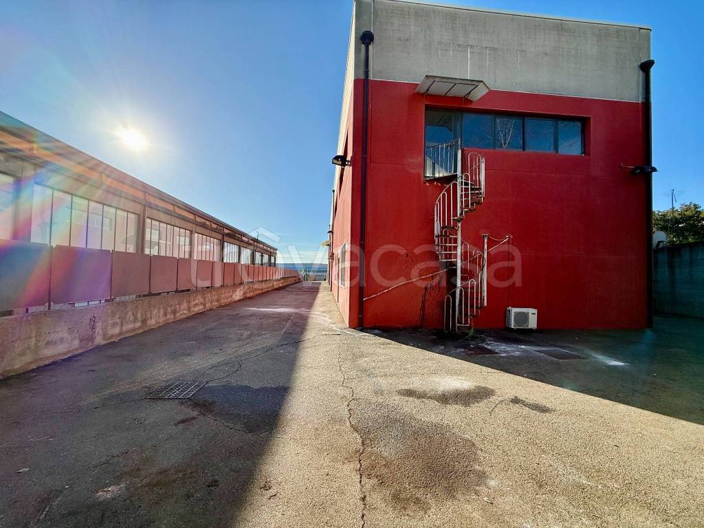 immagine annuncio 5 di 15