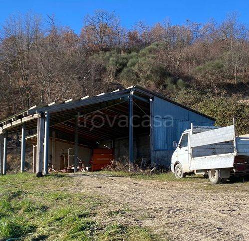 immagine annuncio 6 di 7