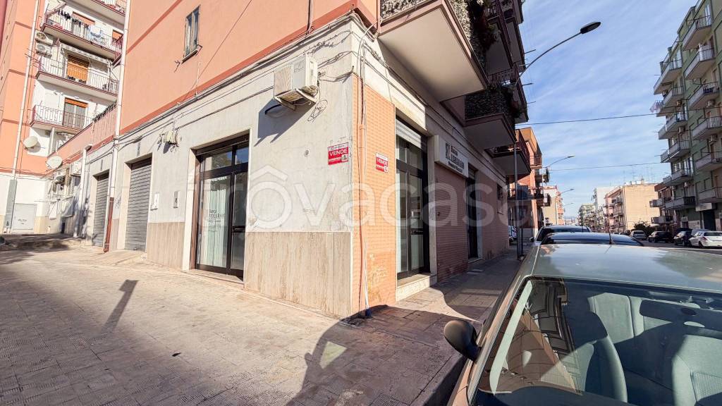 immagine annuncio 8 di 11