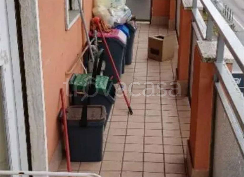 immagine annuncio 7 di 14