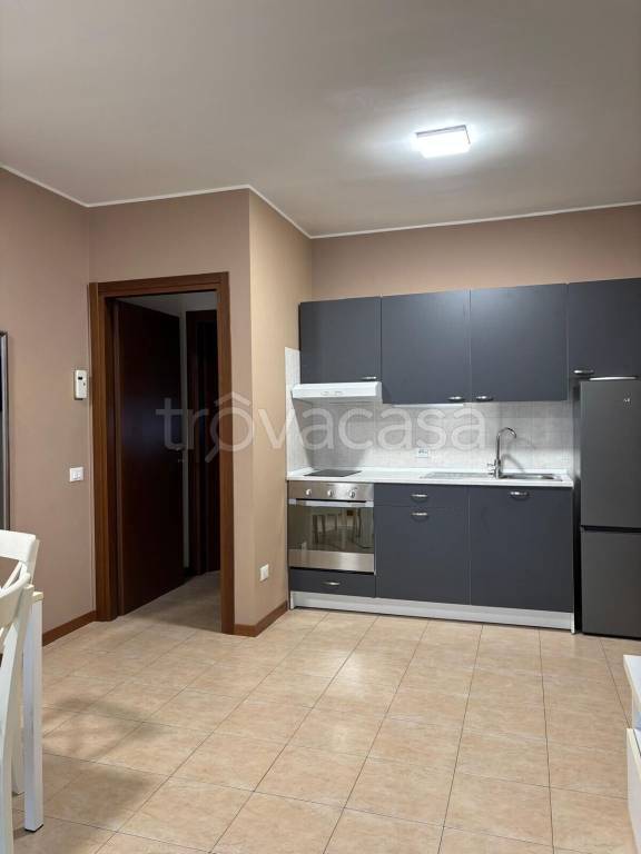 immagine annuncio 1 di 13