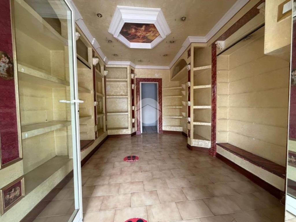 immagine annuncio 4 di 11