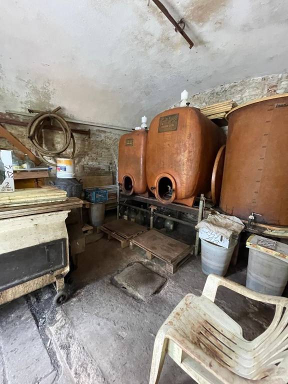 immagine annuncio 1 di 2