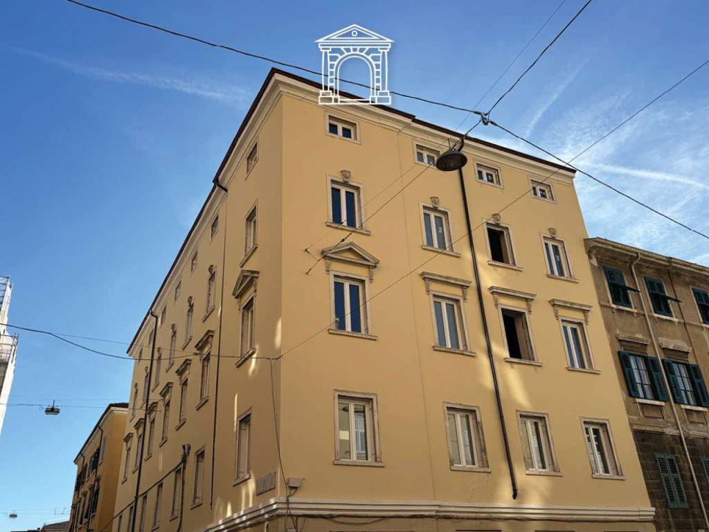 immagine annuncio 1 di 14