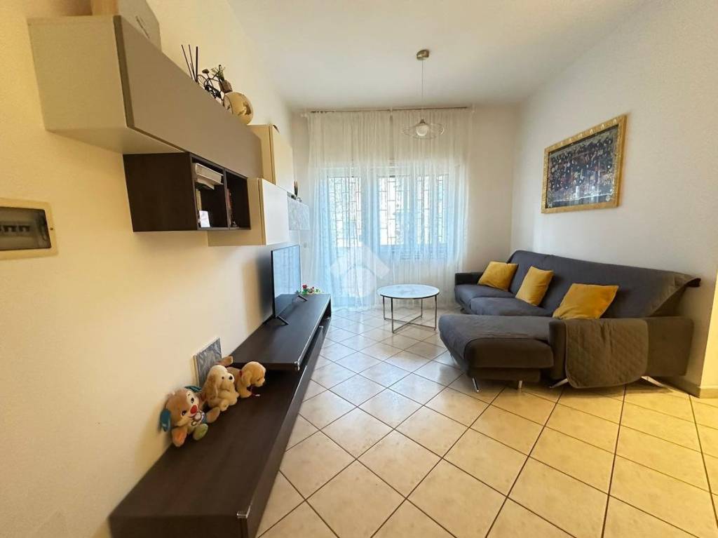 immagine annuncio 6 di 15