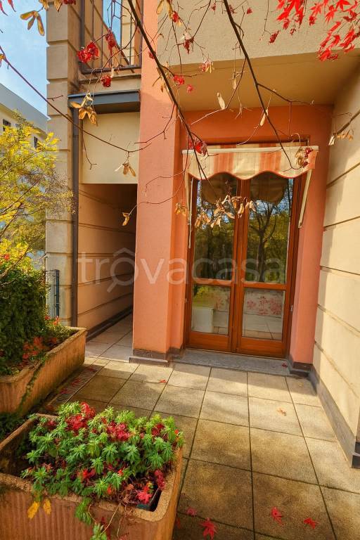 immagine annuncio 12 di 14