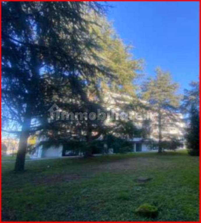 immagine annuncio 6 di 14