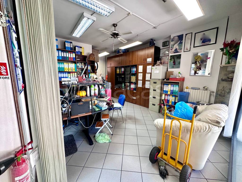 immagine annuncio 2 di 15