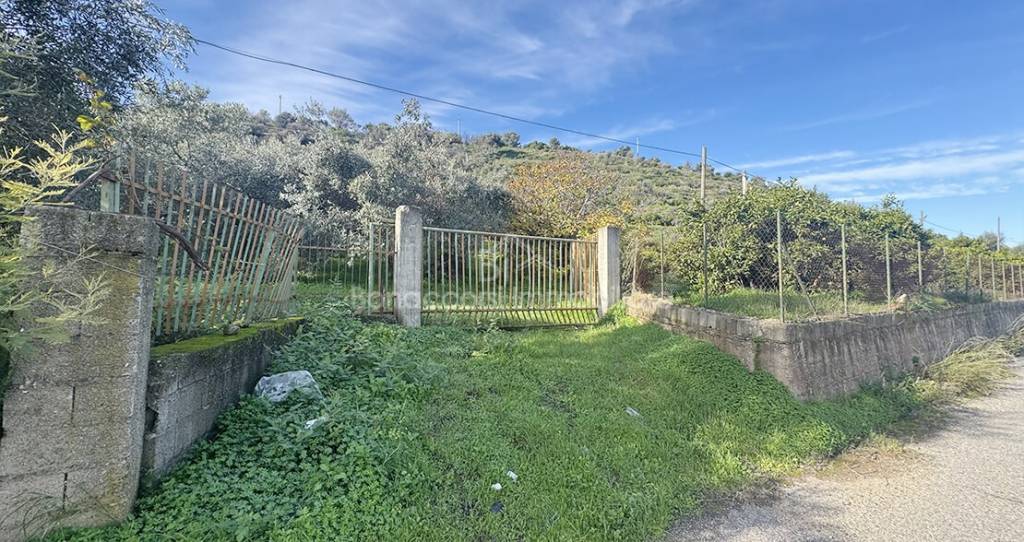 immagine annuncio 2 di 6