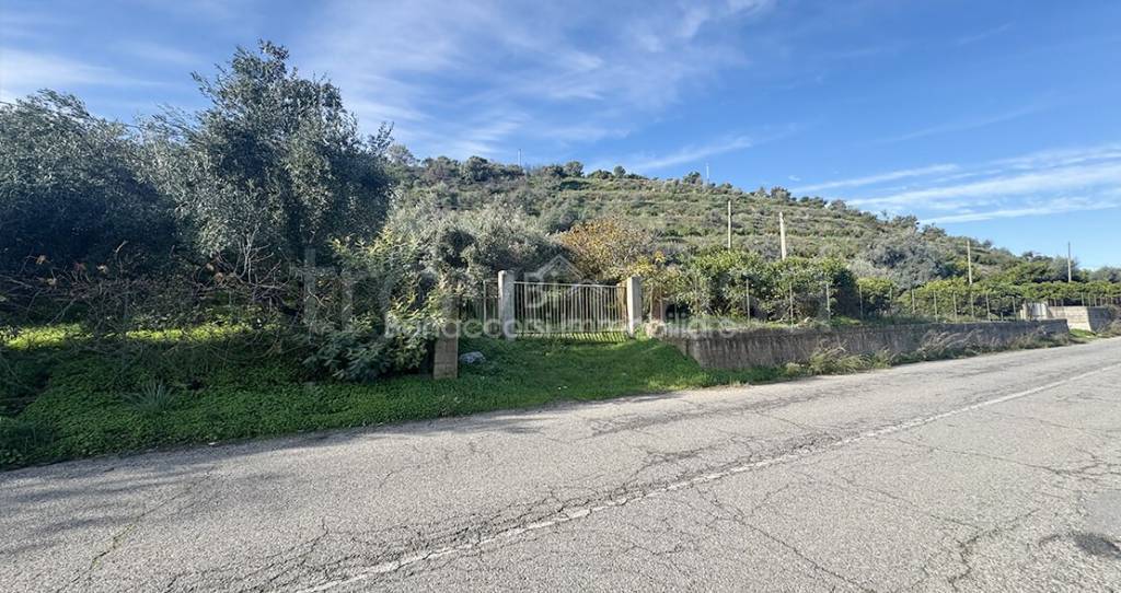 immagine annuncio 3 di 6