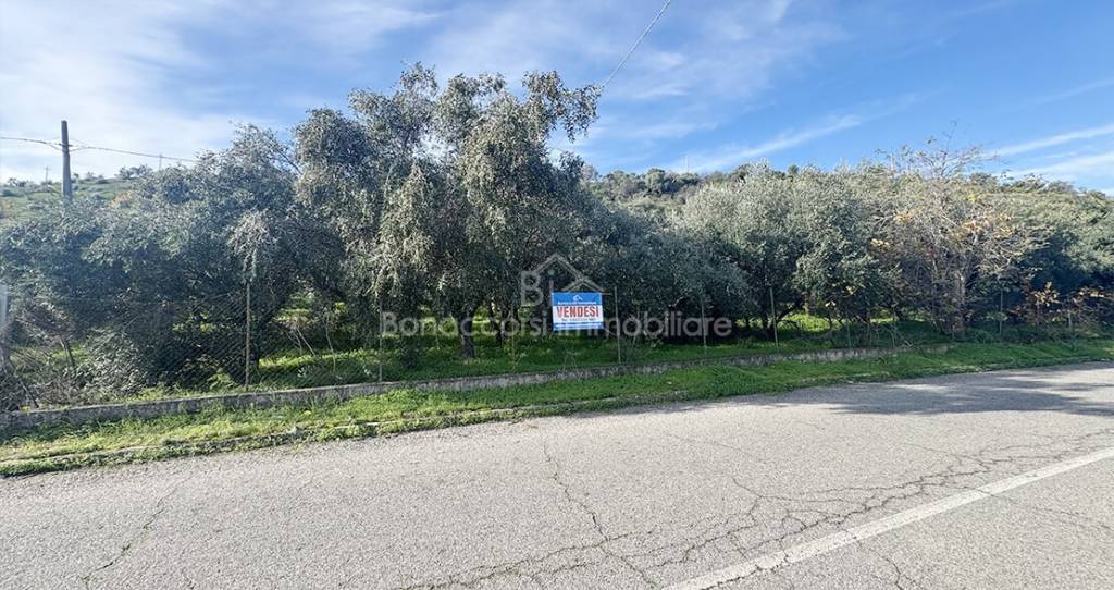 immagine annuncio 4 di 6